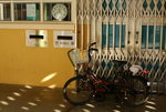 Ping Chau Tour 2009 #023