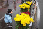 Tai Po #029