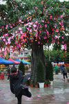 Tai Po #034