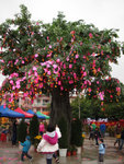 Tai Po #037