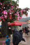 Tai Po #039