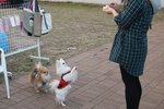Sai_Kung_20110227_016