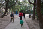 The Peak #035