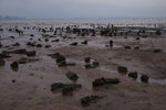 Pak Lai 20111001 #018