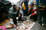 2012-01-25 Sham Shui Po-102