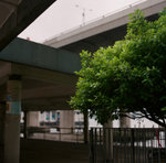 Kwun Tong 20120501-105