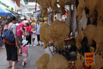 20120624 Tai O-106