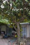 20120624 Tai O-110