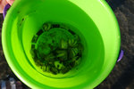 20120701 Shui Hau-137