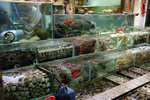 20120707 Sai Kung-131