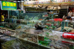 20120707 Sai Kung-143