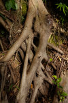 20120714 Sam Ka Tsuen-107
