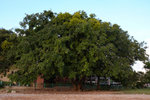 20120714 Sam Ka Tsuen-124
