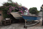 20121001 Peng Chau #015