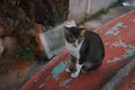 20121001 Peng Chau #018