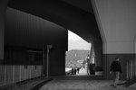 SDIM0206