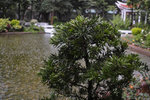 SDIM0562