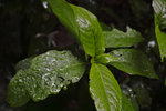 SDIM0574