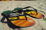 DP1M0094