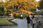 DP3M0245