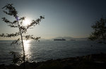 R0300789