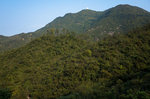 R0340052