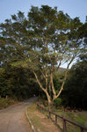 R0340086