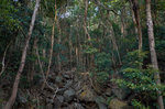 R0340092