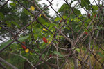 P3300033