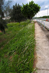 P3300045