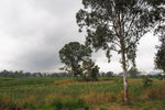 P3300060
