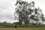 P3300085