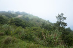 R0370038