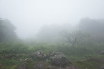 R0370056