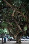 R0390062