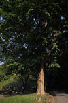 PA120037