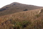 PC061536