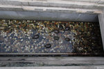 PB020093