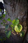 SDIM0134