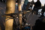 SDIM0137