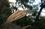 R0420702