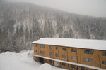 DSC01485