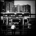 IMG_0452