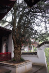 P4210773
