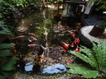 Bangkok 2011 D3 #029