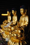 Buddhas #014