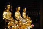 Buddhas #015