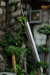 Cha Kwo Ling #011