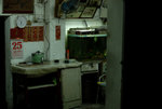 Cha Kwo Ling #048