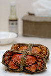 Crab@Home #001
